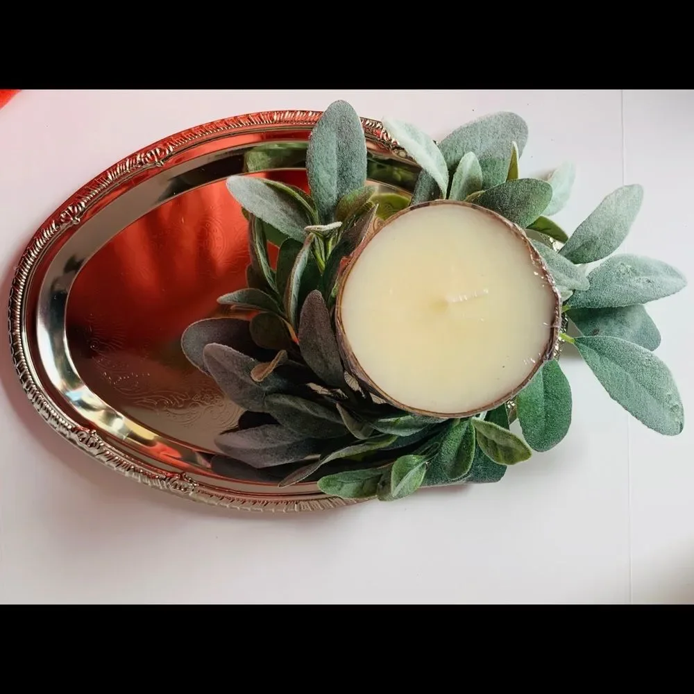 Tin oval‎ serving tray silver looking